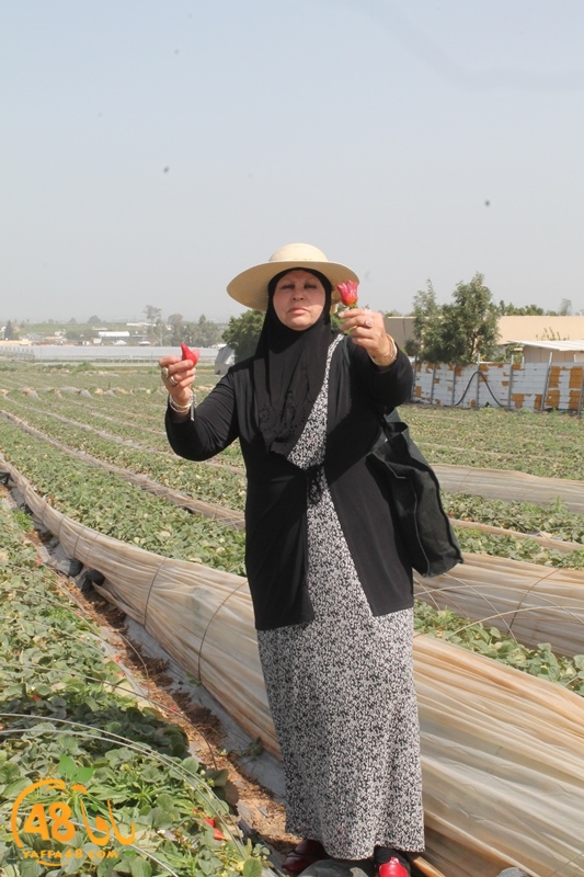 a7bab aqsa farawla (12).JPG